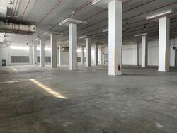 West Coast Gardens (D5), Warehouse #470474481